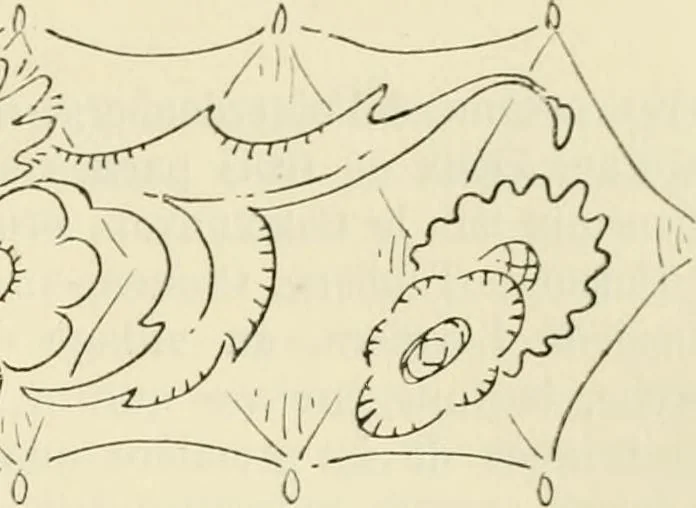 An illustration from Les anciennes faiences de Bruxelles : histoire, fabrication, produits, 1922, leaf 200