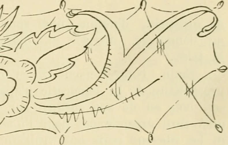 An illustration from Les anciennes faiences de Bruxelles : histoire, fabrication, produits, 1922, leaf 244