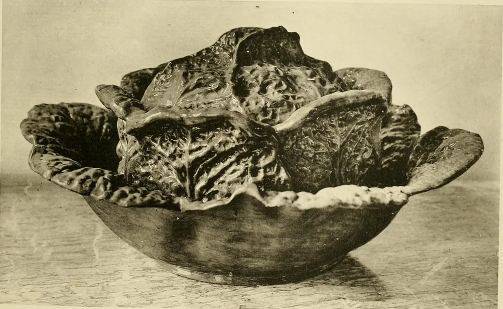 An illustration from Les anciennes faiences de Bruxelles : histoire, fabrication, produits, 1922, leaf 296
