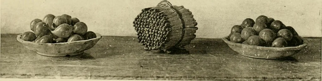 An illustration from Les anciennes faiences de Bruxelles : histoire, fabrication, produits, 1922, leaf 310