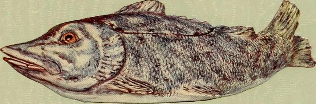 An illustration from Les anciennes faiences de Bruxelles : histoire, fabrication, produits, 1922, leaf 38