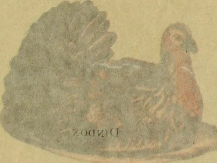 An illustration from Les anciennes faiences de Bruxelles : histoire, fabrication, produits, 1922, leaf 52