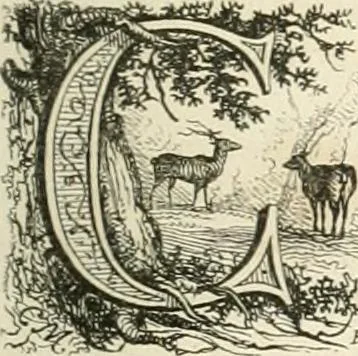 An illustration from Les anglais peints par eux-mêmes : par les sommités littéraires de l'Angleterre, 1840, leaf 100