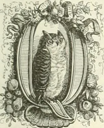 An illustration from Les anglais peints par eux-mêmes : par les sommités littéraires de l'Angleterre, 1840, leaf 140