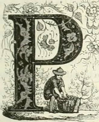 An illustration from Les anglais peints par eux-mêmes : par les sommités littéraires de l'Angleterre, 1840, leaf 240