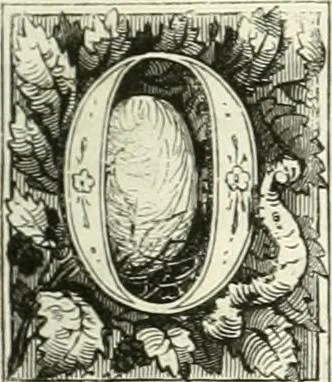 An illustration from Les anglais peints par eux-mêmes : par les sommités littéraires de l'Angleterre, 1840, leaf 250