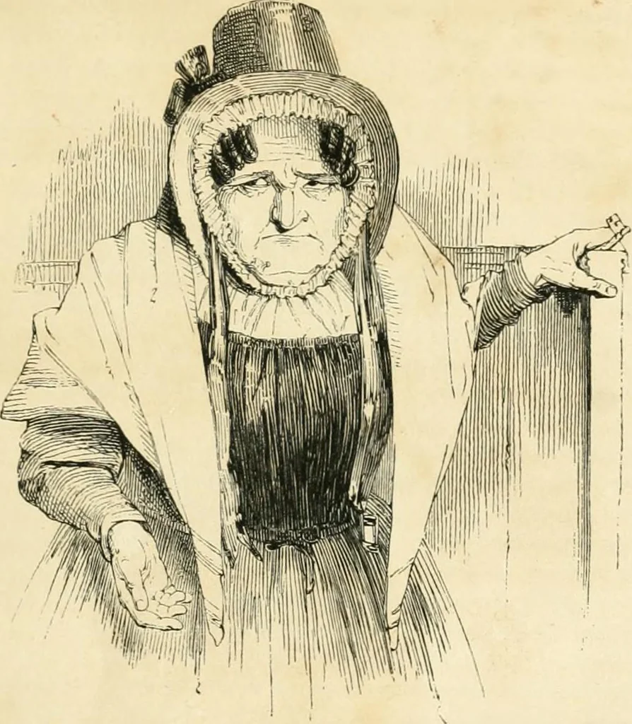 An illustration from Les anglais peints par eux-mêmes : par les sommités littéraires de l'Angleterre, 1840, leaf 298