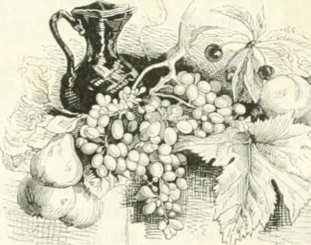 An illustration from Les anglais peints par eux-mêmes : par les sommités littéraires de l'Angleterre, 1840, leaf 347