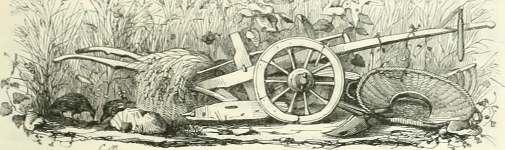 An illustration from Les anglais peints par eux-mêmes : par les sommités littéraires de l'Angleterre, 1840, leaf 350