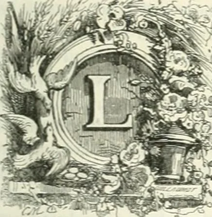 An illustration from Les anglais peints par eux-mêmes : par les sommités littéraires de l'Angleterre, 1840, leaf 350