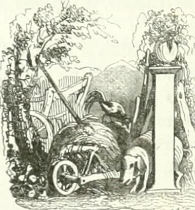 An illustration from Les anglais peints par eux-mêmes : par les sommités littéraires de l'Angleterre, 1840, leaf 369