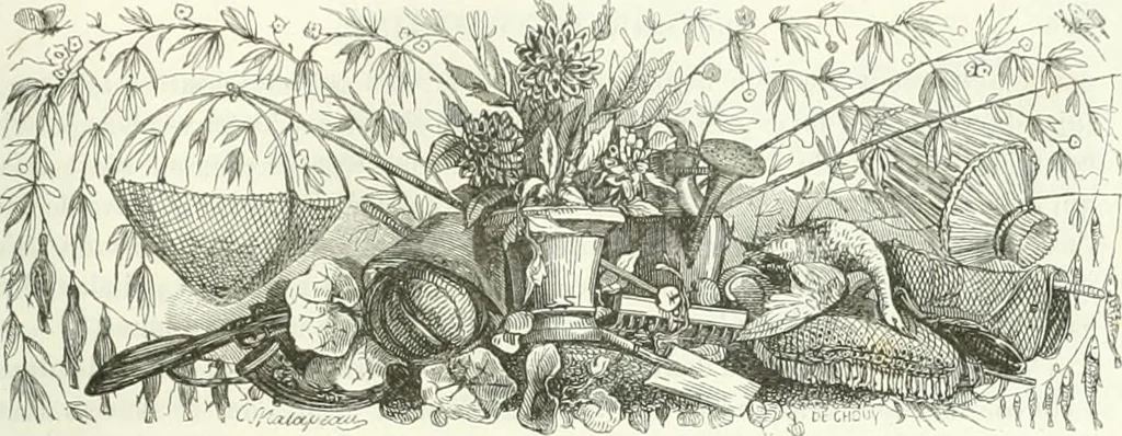An illustration from Les anglais peints par eux-mêmes : par les sommités littéraires de l'Angleterre, 1840, leaf 380