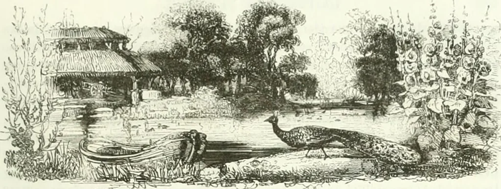 An illustration from Les anglais peints par eux-mêmes : par les sommités littéraires de l'Angleterre, 1840, leaf 458