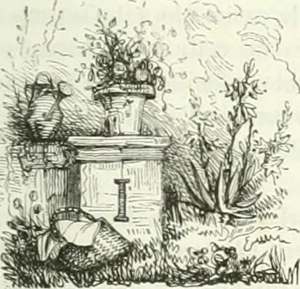 An illustration from Les anglais peints par eux-mêmes : par les sommités littéraires de l'Angleterre, 1840, leaf 458