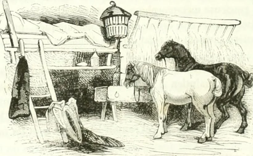 An illustration from Les anglais peints par eux-mêmes : par les sommités littéraires de l'Angleterre, 1840, leaf 465