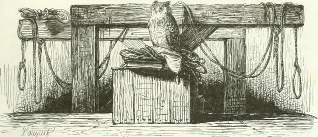 An illustration from Les anglais peints par eux-mêmes : par les sommités littéraires de l'Angleterre, 1840, leaf 496