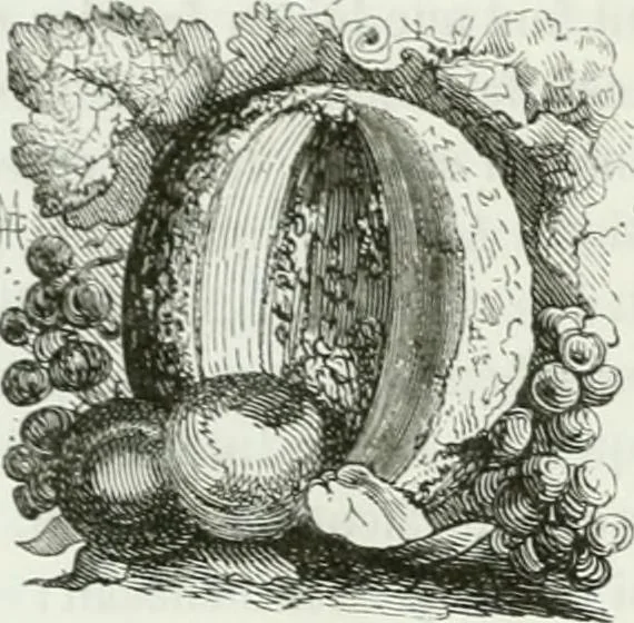An illustration from Les anglais peints par eux-mêmes : par les sommités littéraires de l'Angleterre, 1840, leaf 101