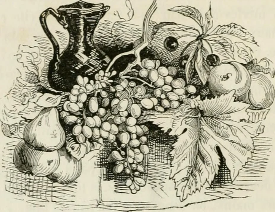 An illustration from Les anglais peints par eux-mêmes : par les sommités littéraires de l'Angleterre, 1840, leaf 111