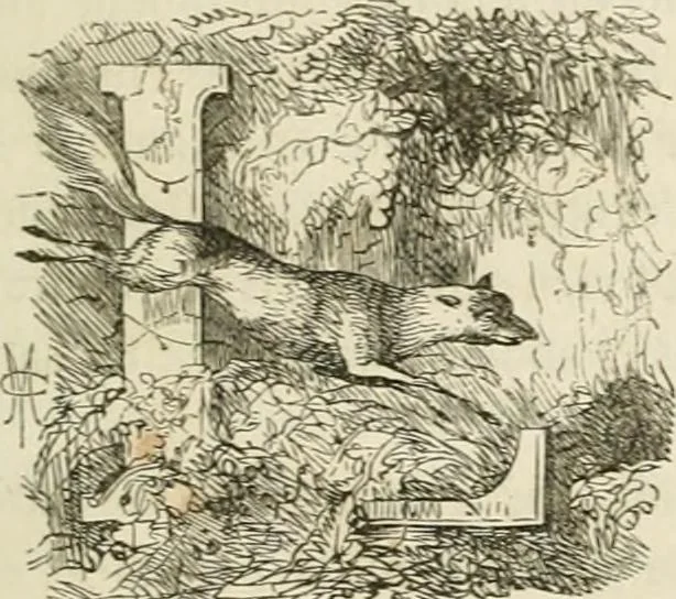 An illustration from Les anglais peints par eux-mêmes : par les sommités littéraires de l'Angleterre, 1840, leaf 142
