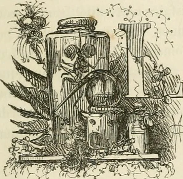 An illustration from Les anglais peints par eux-mêmes : par les sommités littéraires de l'Angleterre, 1840, leaf 152