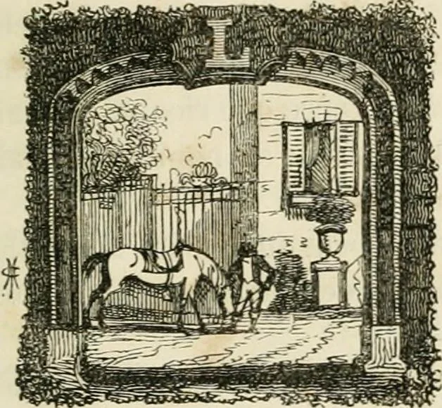 An illustration from Les anglais peints par eux-mêmes : par les sommités littéraires de l'Angleterre, 1840, leaf 162