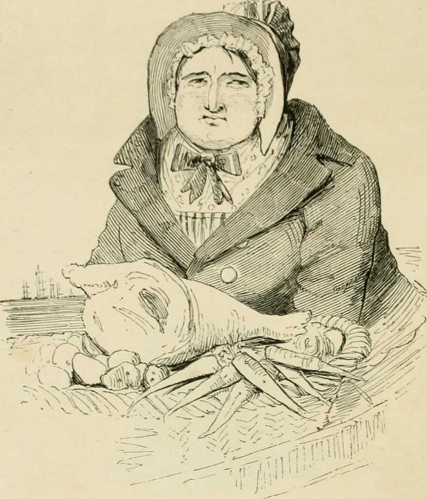 An illustration from Les anglais peints par eux-mêmes : par les sommités littéraires de l'Angleterre, 1840, leaf 191