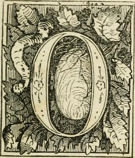 An illustration from Les anglais peints par eux-mêmes : par les sommités littéraires de l'Angleterre, 1840, leaf 204