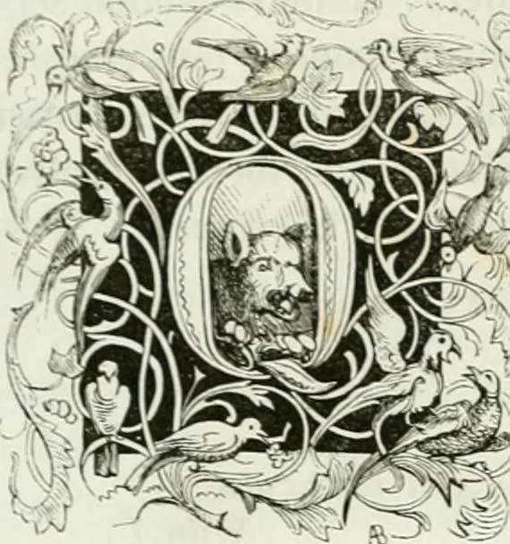 An illustration from Les anglais peints par eux-mêmes : par les sommités littéraires de l'Angleterre, 1840, leaf 239
