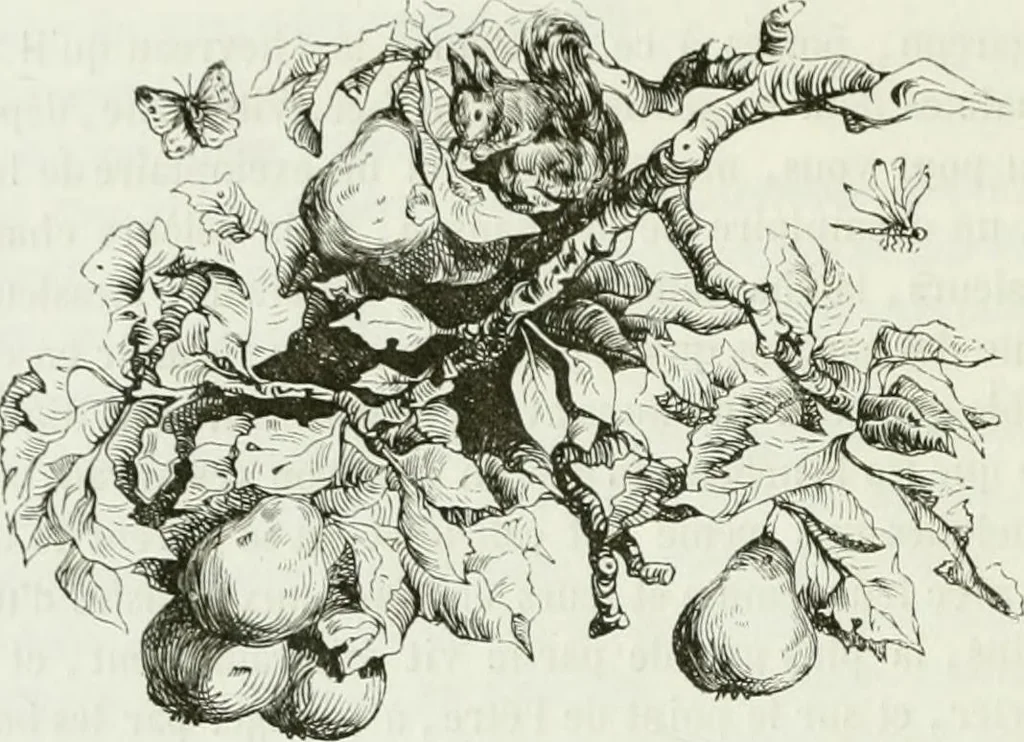 An illustration from Les anglais peints par eux-mêmes : par les sommités littéraires de l'Angleterre, 1840, leaf 287