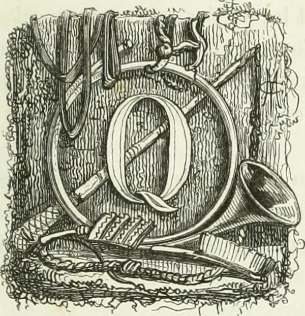 An illustration from Les anglais peints par eux-mêmes : par les sommités littéraires de l'Angleterre, 1840, leaf 292