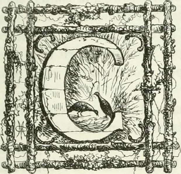 An illustration from Les anglais peints par eux-mêmes : par les sommités littéraires de l'Angleterre, 1840, leaf 338