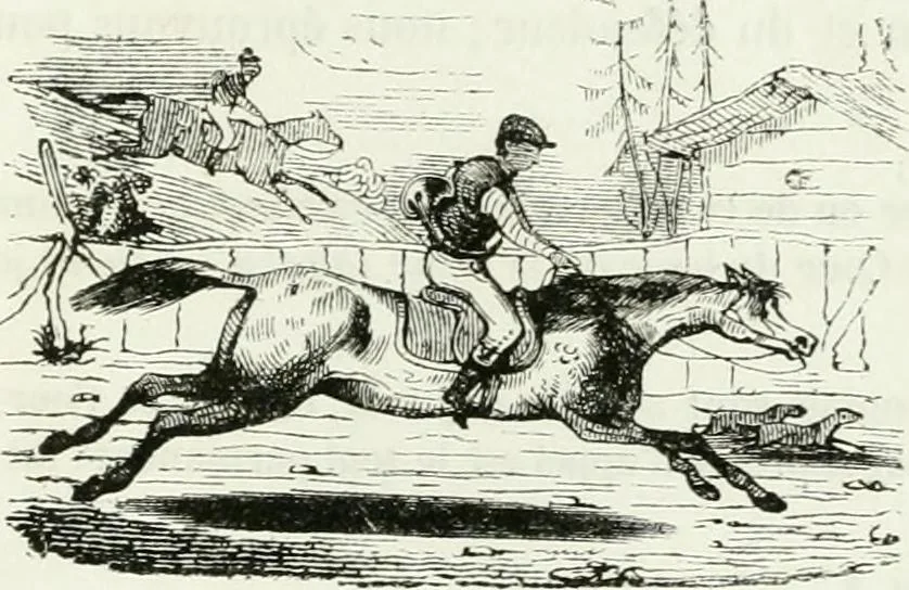 An illustration from Les anglais peints par eux-mêmes : par les sommités littéraires de l'Angleterre, 1840, leaf 348