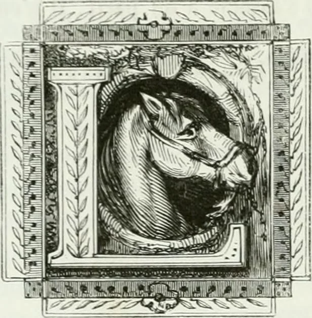 An illustration from Les anglais peints par eux-mêmes : par les sommités littéraires de l'Angleterre, 1840, leaf 381