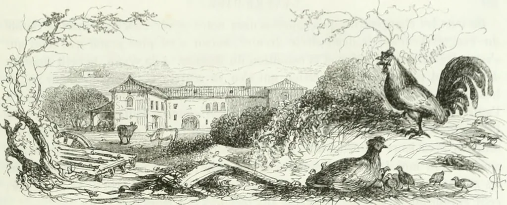 An illustration from Les anglais peints par eux-mêmes : par les sommités littéraires de l'Angleterre, 1840, leaf 94