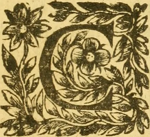An illustration from Les annales d'Aquitaine: : faicts et gestes en sommaire des roys de France et d'Angleterre ..., 1644, leaf 132
