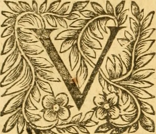 An illustration from Les annales d'Aquitaine: : faicts et gestes en sommaire des roys de France et d'Angleterre ..., 1644, leaf 309