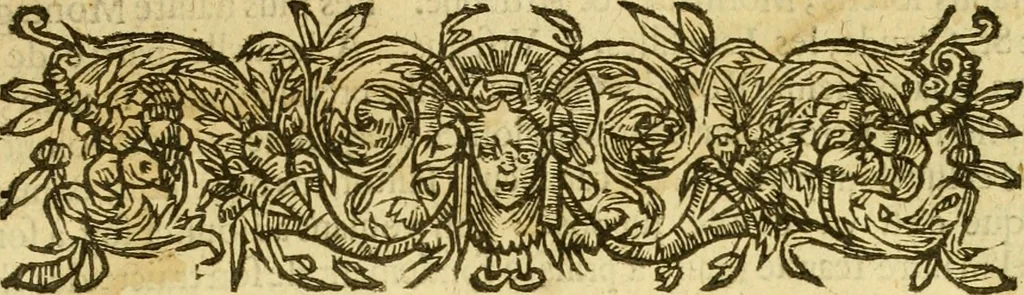 An illustration from Les annales d'Aquitaine: : faicts et gestes en sommaire des roys de France et d'Angleterre ..., 1644, leaf 44