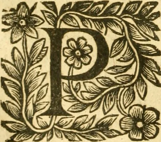 An illustration from Les annales d'Aquitaine: : faicts et gestes en sommaire des roys de France et d'Angleterre ..., 1644, leaf 47