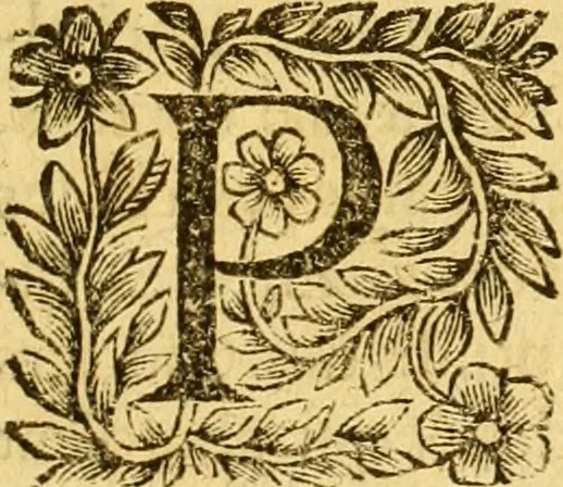 An illustration from Les annales d'Aquitaine: : faicts et gestes en sommaire des roys de France et d'Angleterre ..., 1644, leaf 606