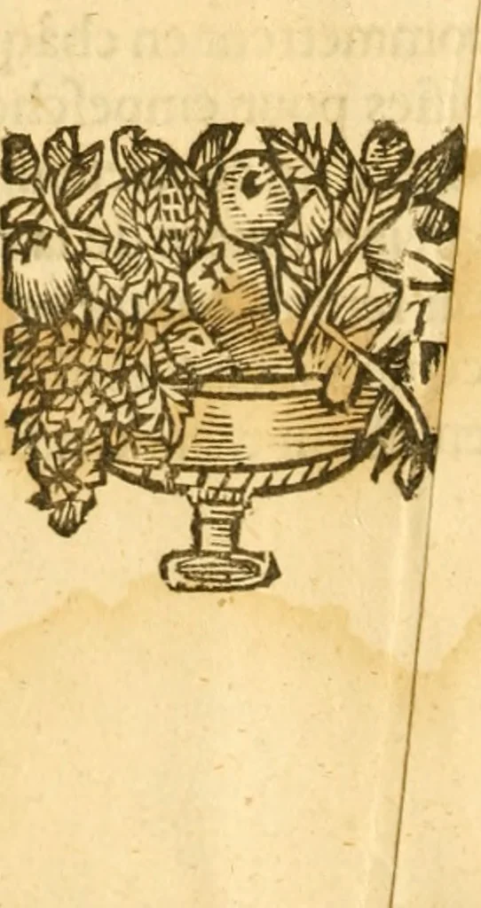 An illustration from Les annales d'Aquitaine: : faicts et gestes en sommaire des roys de France et d'Angleterre ..., 1644, leaf 881