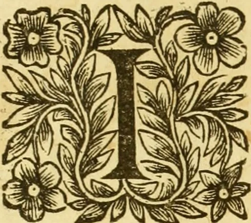 An illustration from Les annales d'Aquitaine: : faicts et gestes en sommaire des roys de France et d'Angleterre ..., 1644, leaf 882