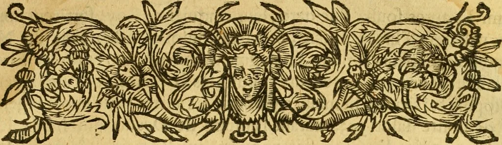 An illustration from Les annales d'Aquitaine: : faicts et gestes en sommaire des roys de France et d'Angleterre ..., 1644, leaf 98