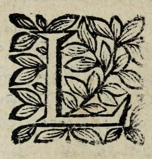 An illustration from Les antiquitez et recherches des villes, chasteaux, et places plus remarquables de France : selon l'ordre & ressort des Parlement : oeuvre enrichy des fondations, situations & singularitez des villes, places, & autres choses notables, concernant les parlemens, iurisdictionns, eglises & police de ce royaume, 1668, leaf 191