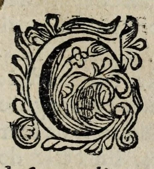 An illustration from Les antiquitez et recherches des villes, chasteaux, et places plus remarquables de France : selon l'ordre & ressort des Parlement : oeuvre enrichy des fondations, situations & singularitez des villes, places, & autres choses notables, concernant les parlemens, iurisdictionns, eglises & police de ce royaume, 1668, leaf 237