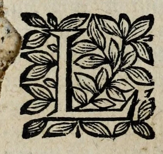 An illustration from Les antiquitez et recherches des villes, chasteaux, et places plus remarquables de France : selon l'ordre & ressort des Parlement : oeuvre enrichy des fondations, situations & singularitez des villes, places, & autres choses notables, concernant les parlemens, iurisdictionns, eglises & police de ce royaume, 1668, leaf 245