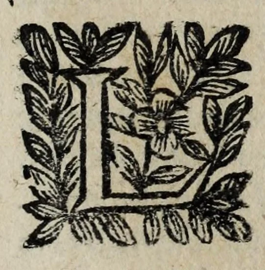 An illustration from Les antiquitez et recherches des villes, chasteaux, et places plus remarquables de France : selon l'ordre & ressort des Parlement : oeuvre enrichy des fondations, situations & singularitez des villes, places, & autres choses notables, concernant les parlemens, iurisdictionns, eglises & police de ce royaume, 1668, leaf 289