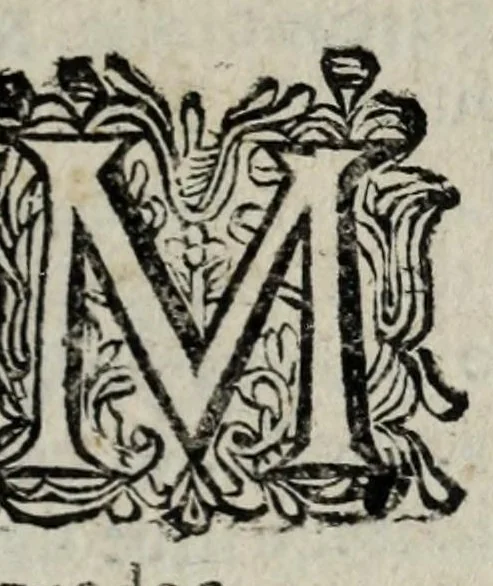 An illustration from Les antiquitez et recherches des villes, chasteaux, et places plus remarquables de France : selon l'ordre & ressort des Parlement : oeuvre enrichy des fondations, situations & singularitez des villes, places, & autres choses notables, concernant les parlemens, iurisdictionns, eglises & police de ce royaume, 1668, leaf 125