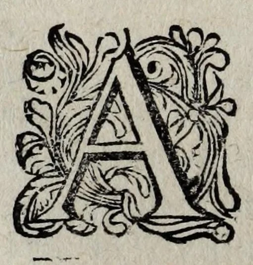 An illustration from Les antiquitez et recherches des villes, chasteaux, et places plus remarquables de France : selon l'ordre & ressort des Parlement : oeuvre enrichy des fondations, situations & singularitez des villes, places, & autres choses notables, concernant les parlemens, iurisdictionns, eglises & police de ce royaume, 1668, leaf 96