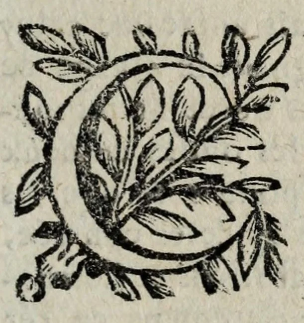 An illustration from Les antiquitez et recherches des villes, chasteaux, et places plus remarquables de France : selon l'ordre & ressort des Parlement : oeuvre enrichy des fondations, situations & singularitez des villes, places, & autres choses notables, concernant les parlemens, iurisdictionns, eglises & police de ce royaume, 1668, leaf 99