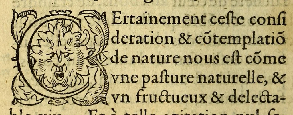 An illustration from Les antiquitez et singularitez du monde., 1557, leaf 96